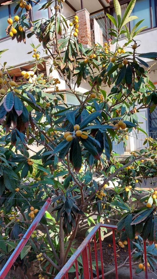 Casa Vacanze Il Nespolo Catania-Fontanarossai nemzetközi repülőtér Kültér fotó